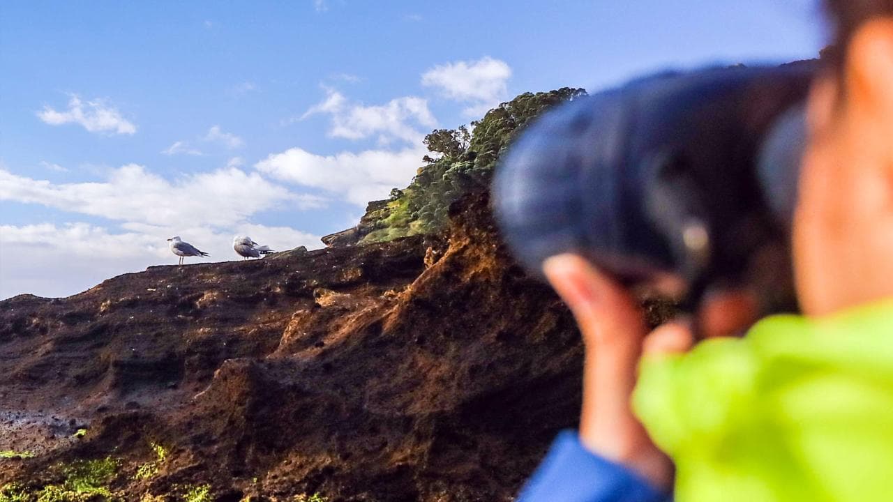 Vila Franca Islet Off-coast Reserve Tour [Oct-Apr] | Azores