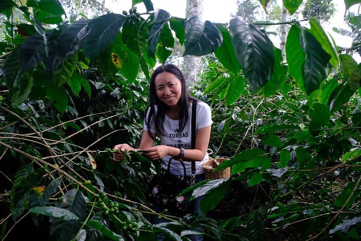 Bogotá's Kickstart Private Tour: Candelaria and Cacao & Coffee Workshop