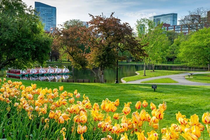 Back Bay: Small Group Tour of Women's Rights Boston