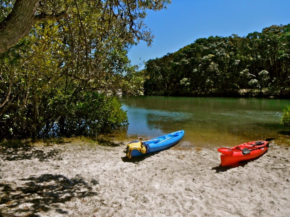 Brunswick River Nature Kayak Tour
