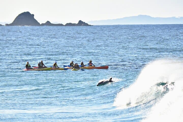 The Byron Bay Sea Kayak Tour