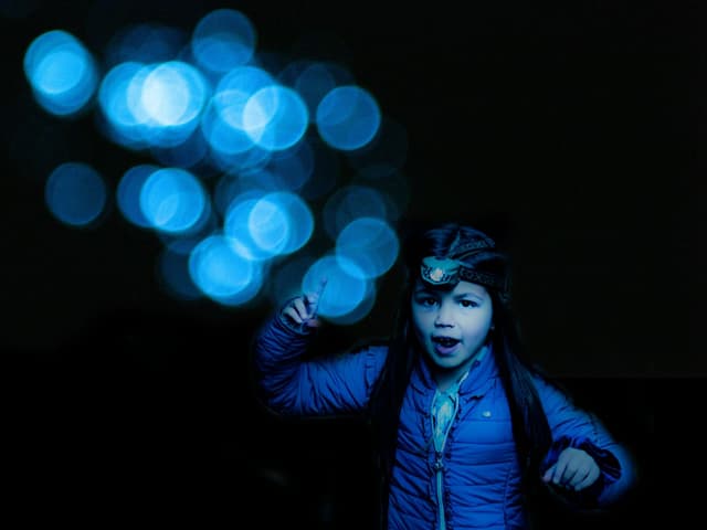 Hinterland Magic & Glow-worm experience at Byron Bay Hinterland