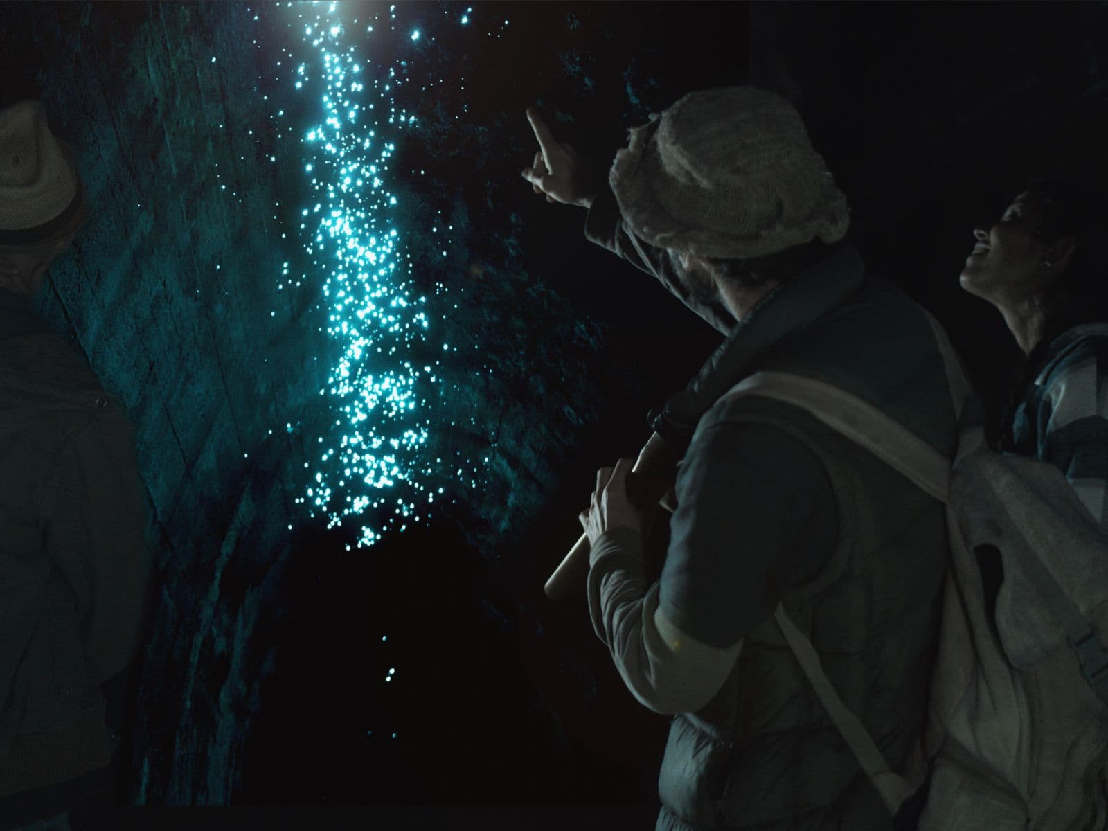 Hinterland Magic & Glow-worm experience at Byron Bay Hinterland