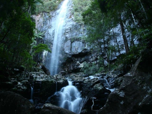 Hinterland Magic & Glow-worm experience at Byron Bay Hinterland