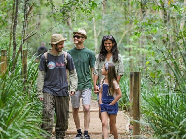 Hinterland Magic & Glow-worm experience at Byron Bay Hinterland