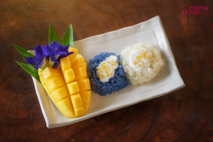 Cooking Class with Organic Farm | Chiang Mai, Thailand
