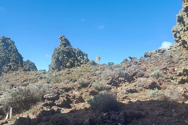Pali Hike Full Day Adventure | Chilean Patagonia