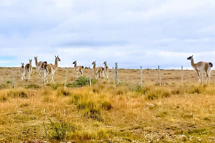 Pali Hike Full Day Adventure | Chilean Patagonia