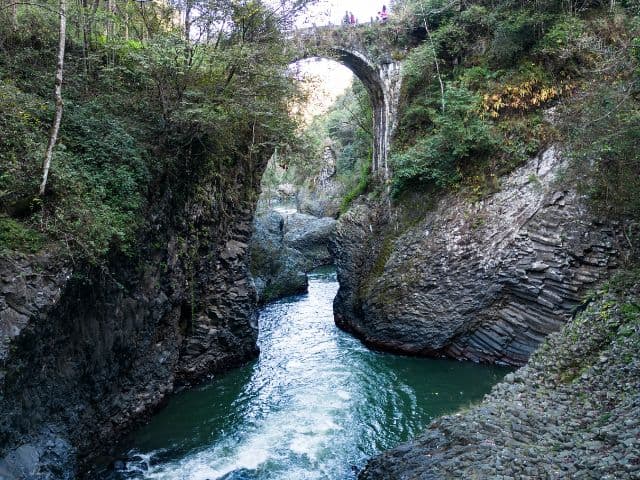 Gaoligong rainforest paradise with Skywalker Hoolock Gibbon | Yunnan, China
