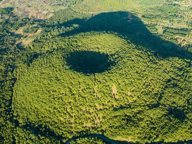 Gaoligong rainforest paradise with Skywalker Hoolock Gibbon | Yunnan, China