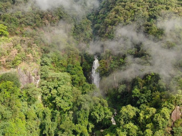 Gaoligong rainforest paradise with Skywalker Hoolock Gibbon | Yunnan, China