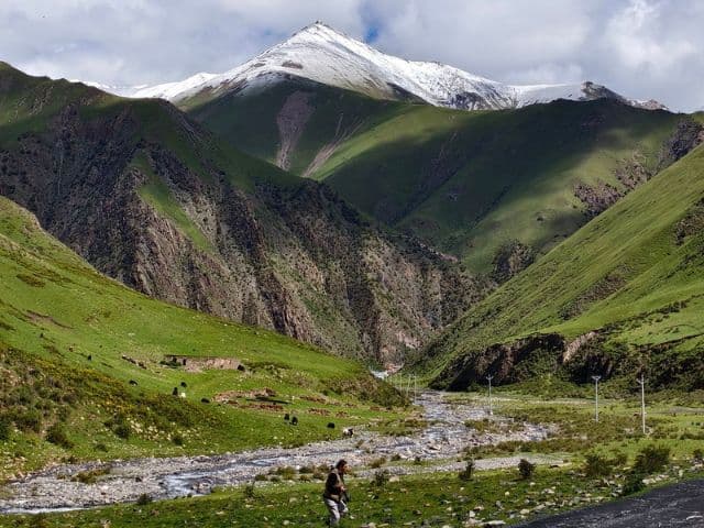 Snow leopard safari at the Qinghai-Tibet plateau | China