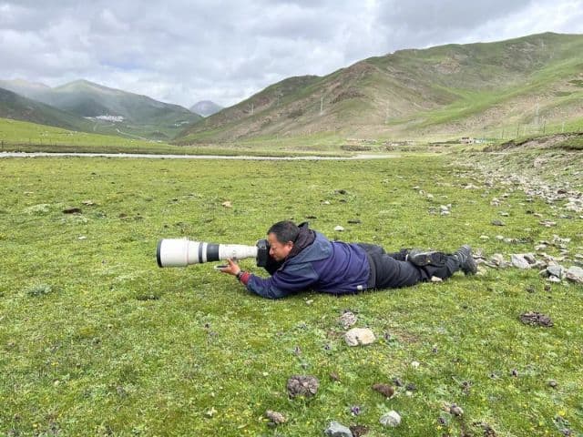 Snow leopard safari at the Qinghai-Tibet plateau | China