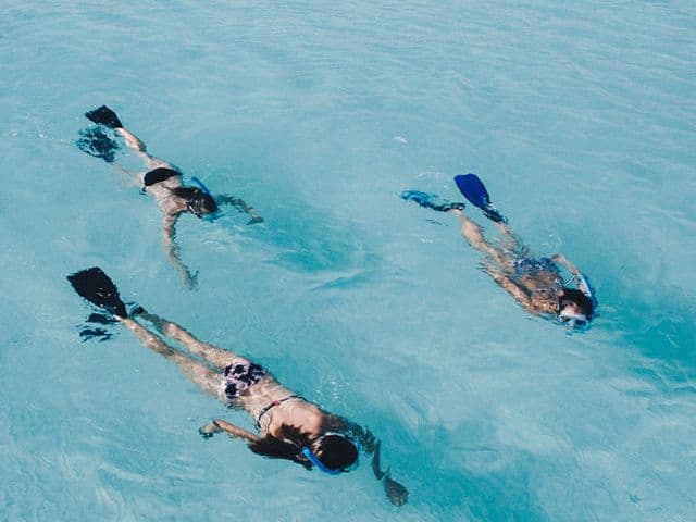 Snorkelling Excursion at Costa Brava