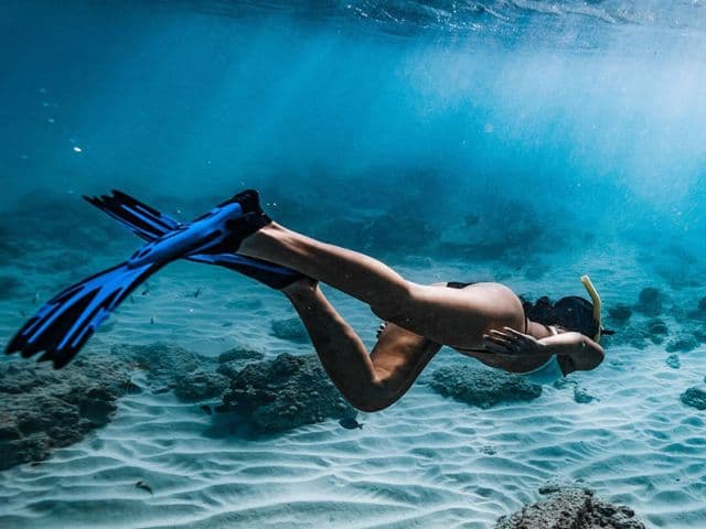 Snorkelling Excursion at Costa Brava