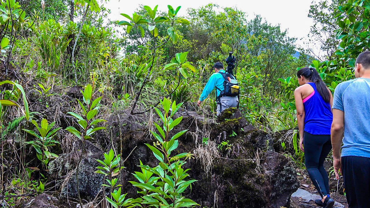 Arenal Volcano Hiking tour, Costa Rica