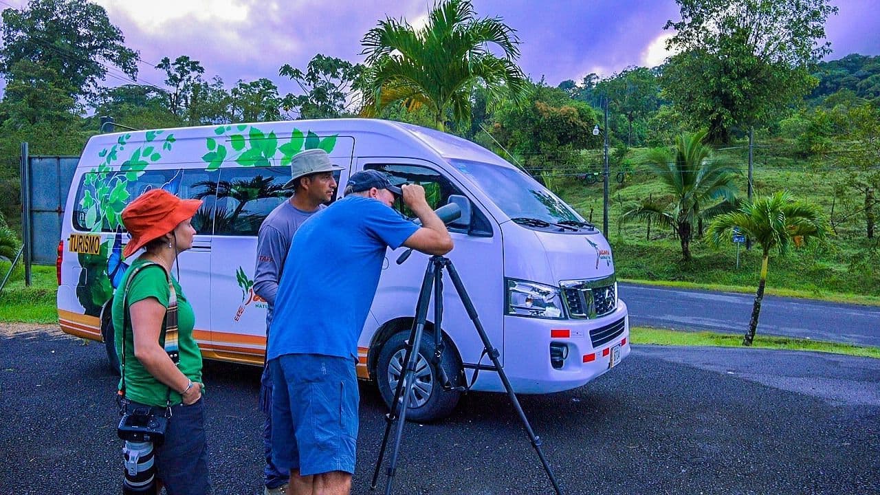 Bird Watching Near the Arenal Volcano, Costa Rica