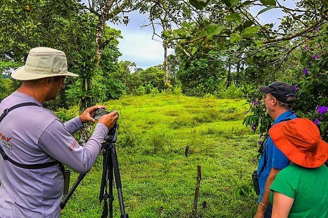 Bird Watching Near the Arenal Volcano, Costa Rica
