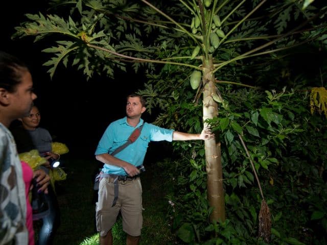 Exclusive Night Walk | La Fortuna