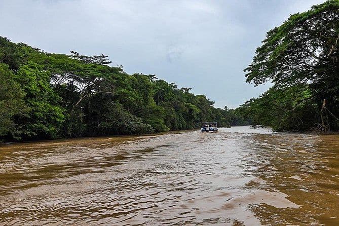 Caño Negro Boat Safari | La Fortuna