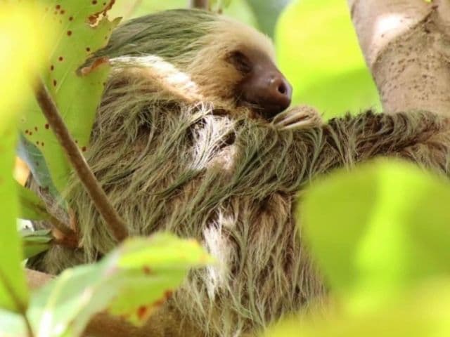 Coast to coast: highlights of Costa Rica