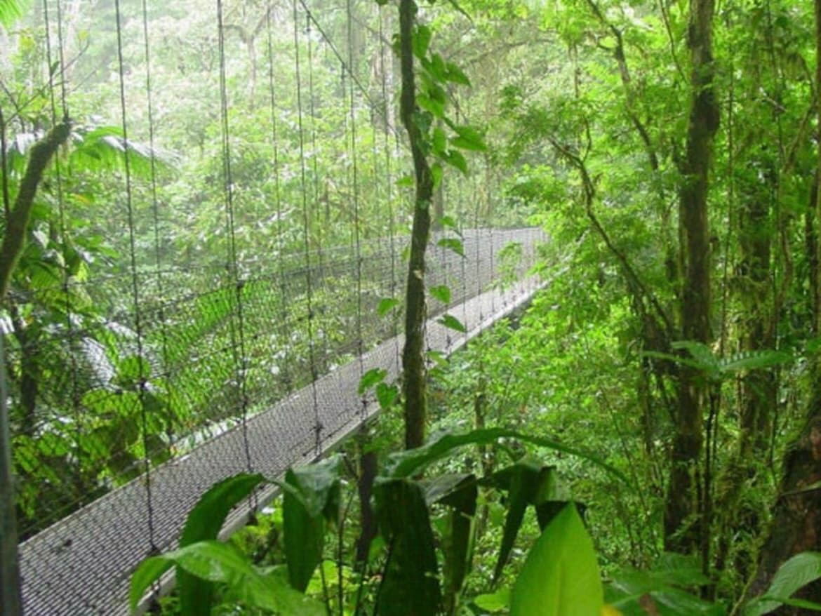 Coast to coast: highlights of Costa Rica