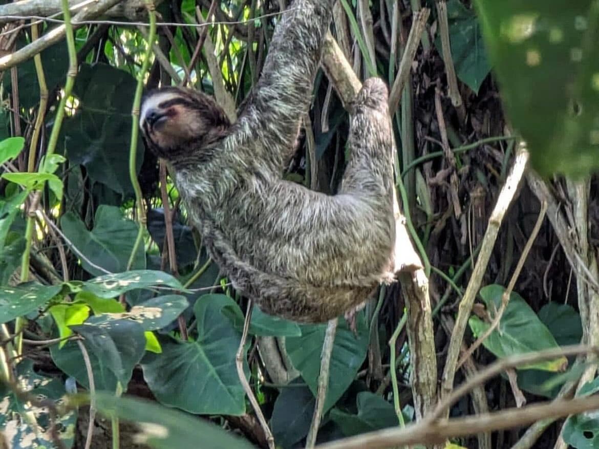 Coast to coast: highlights of Costa Rica