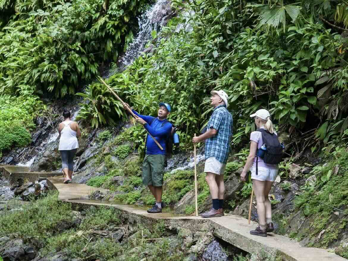Coast to coast: highlights of Costa Rica
