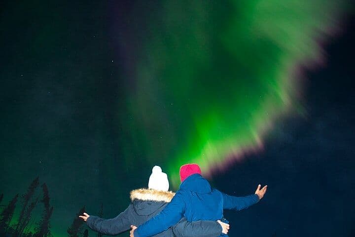 Full Day Arctic Circle Tour