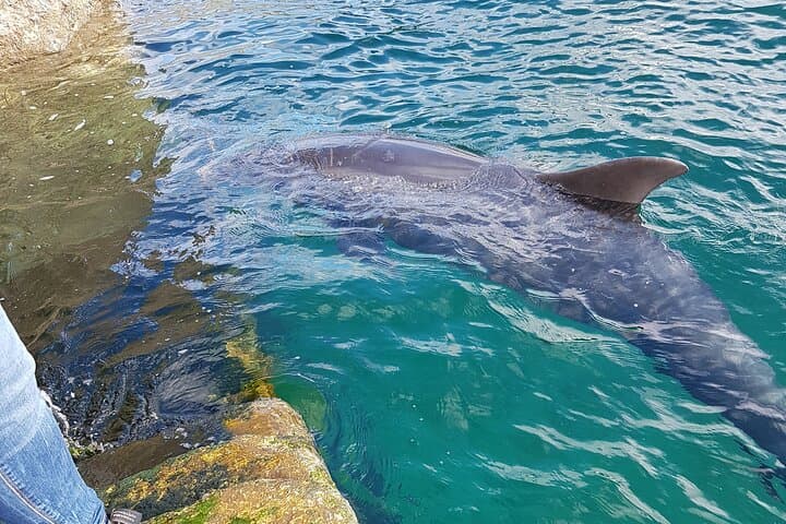 Aran Islands & Cliffs of Moher Day Tour | Galway, Ireland