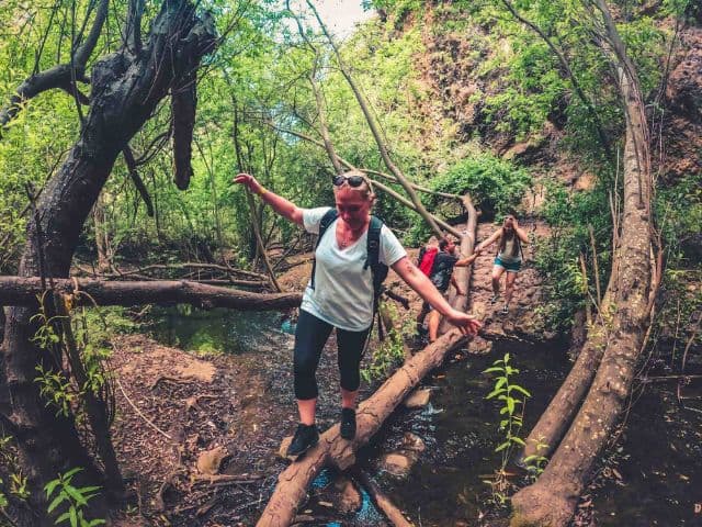 The Rainforest Tour - Small Group Trip with Tasting | Gran Canaria