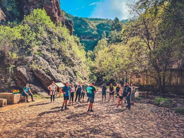 The Rainforest Tour - Small Group Trip with Tasting | Gran Canaria