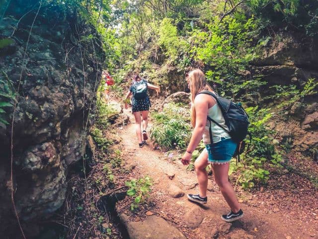 The Rainforest Tour - Small Group Trip with Tasting | Gran Canaria