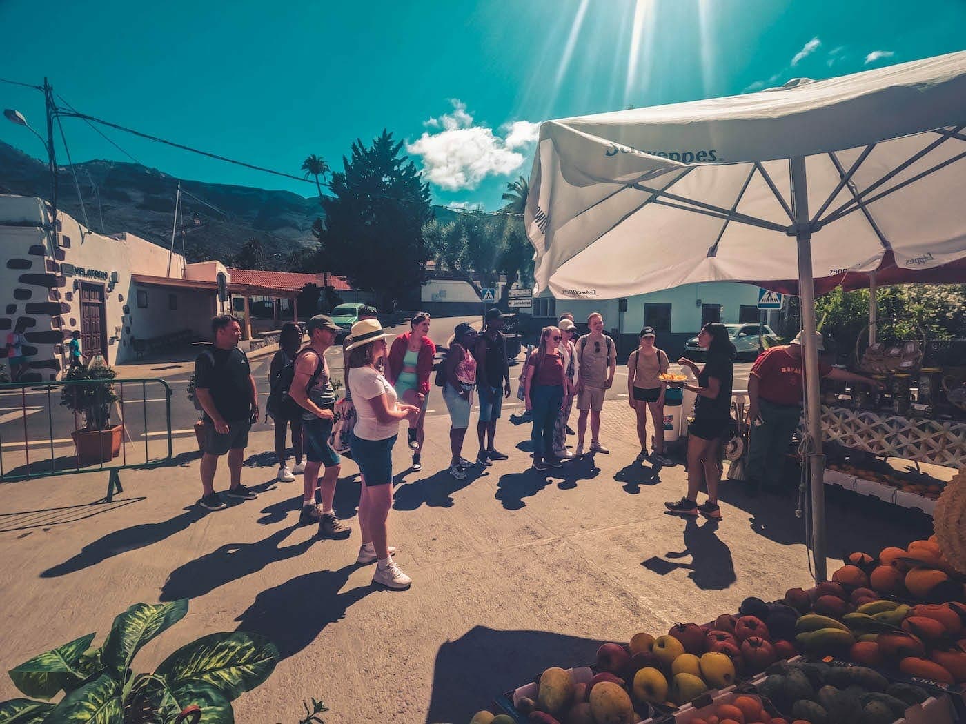 The Red Canyon Tour - Small Group Trip with Tasting | Gran Canaria