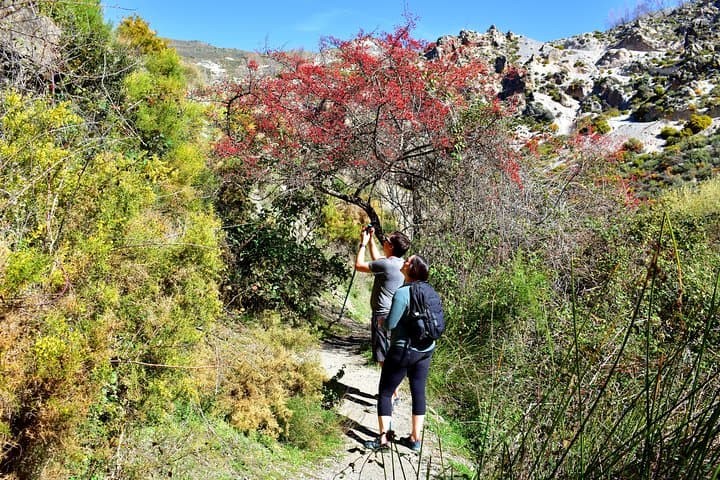 Hiking in the Canyon of the Monachil Cubs | Granada