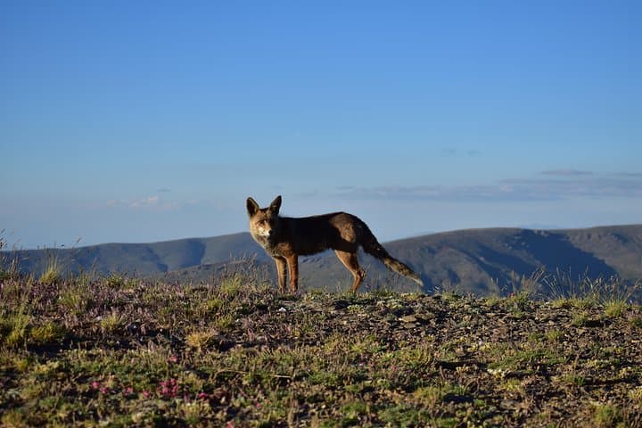 Sierra Nevada Tour | Granada
