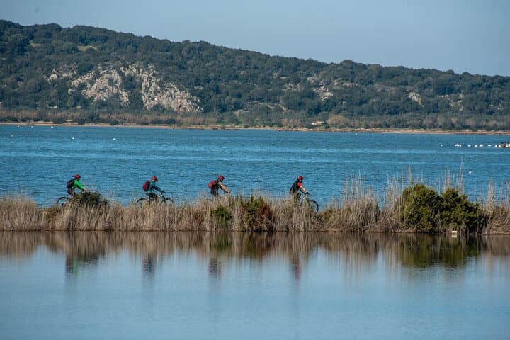 E-Bike Kalamata Olive Routes