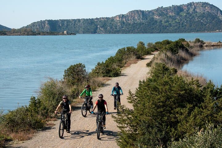 E-Bike Kalamata Olive Routes