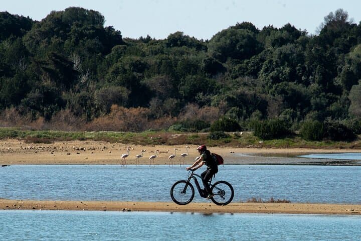 E-Bike Kalamata Olive Routes