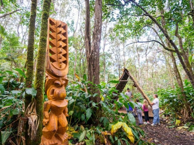 Exotic Fruit Tasting Tour | Hawaii