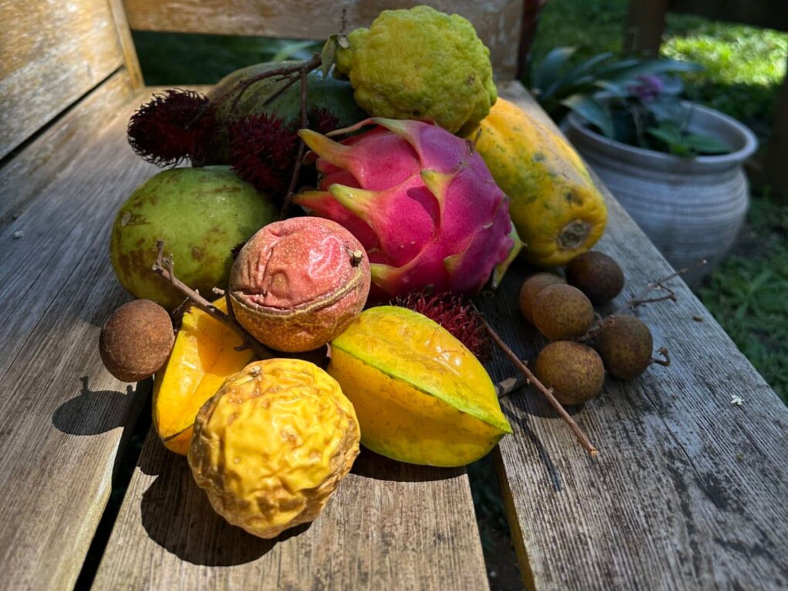 Exotic Fruit Tasting Tour | Hawaii
