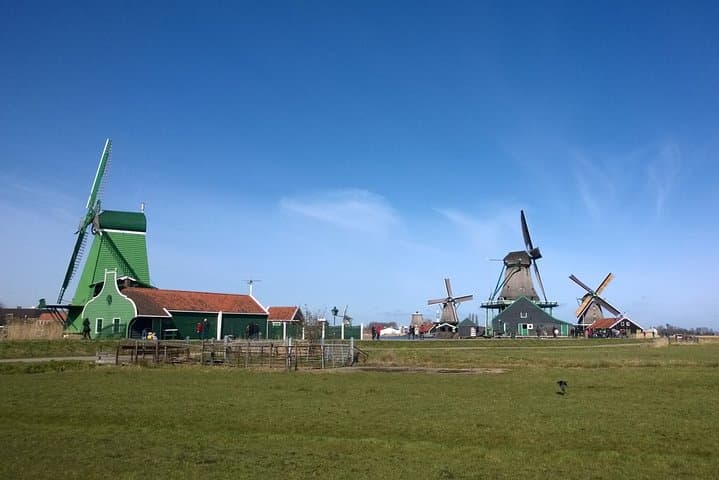 Keukenhof's Tulips and Zaanse Schans Windmills small group tour from Amsterdam