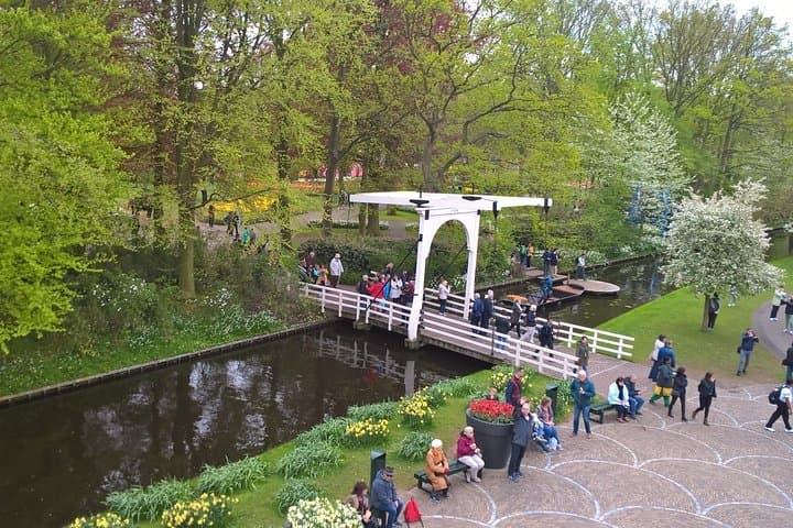 Keukenhof's Tulips and Zaanse Schans Windmills small group tour from Amsterdam