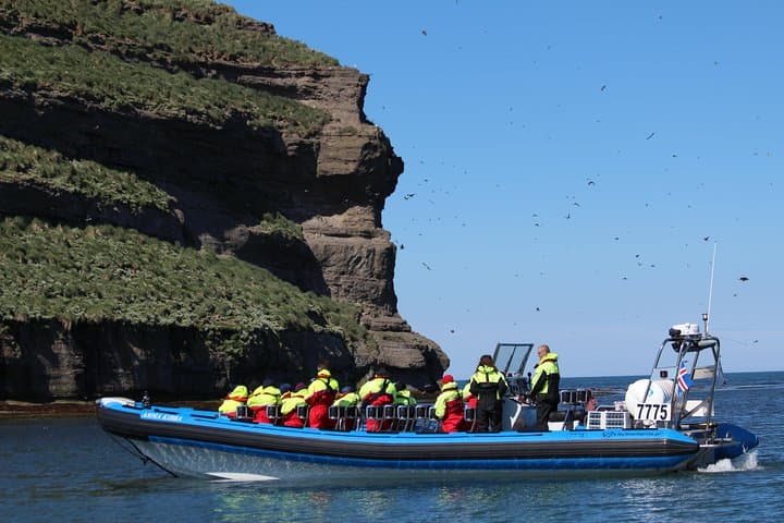 Big Whale Safari & Puffins at Húsavík, Iceland
