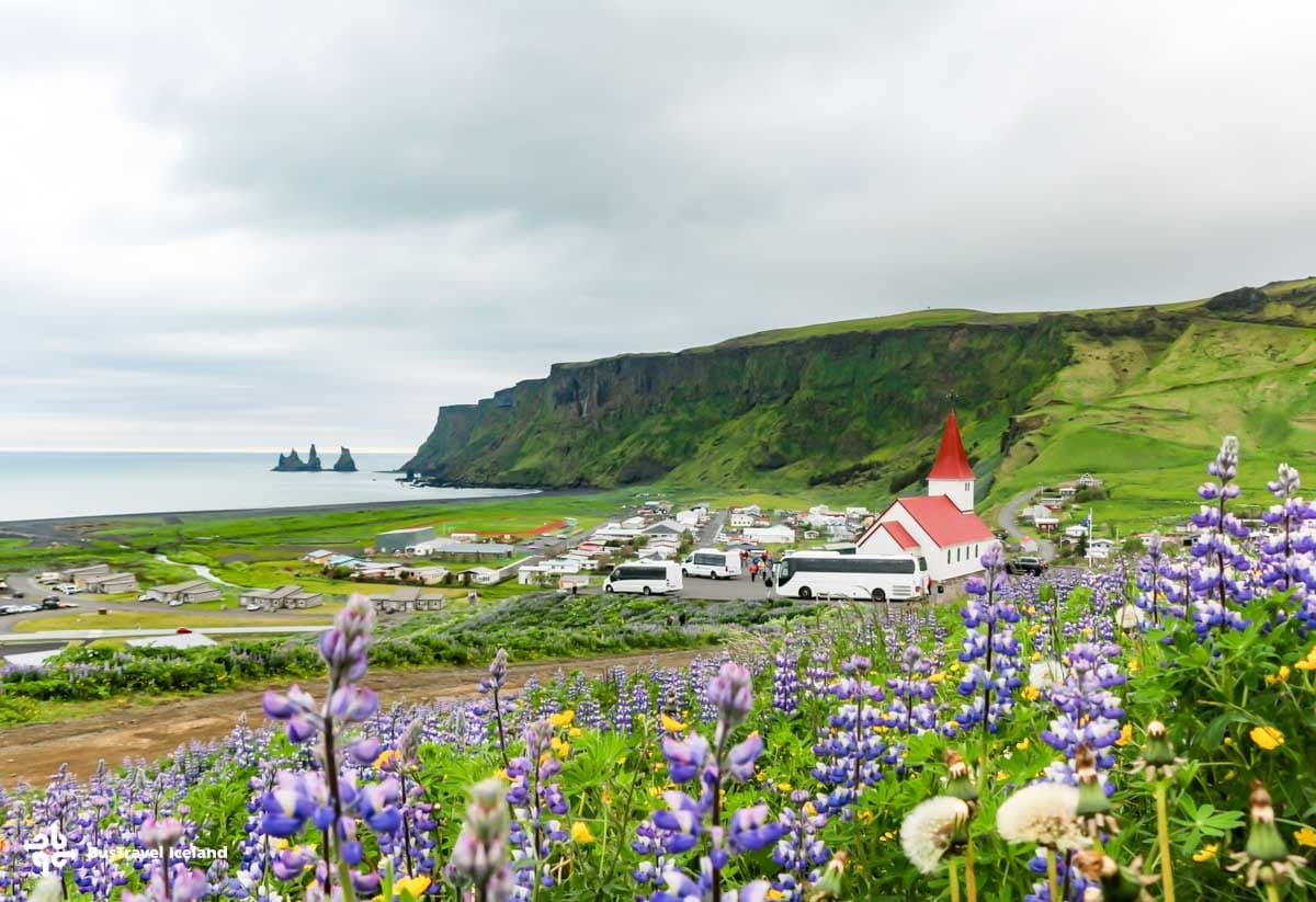 Jökulsárlón Glacier Lagoon & South Iceland Tour with boat ride
