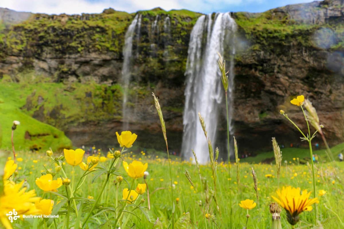 South Coast Waterfalls, Glacier & Black Sand Beach Tour | Iceland