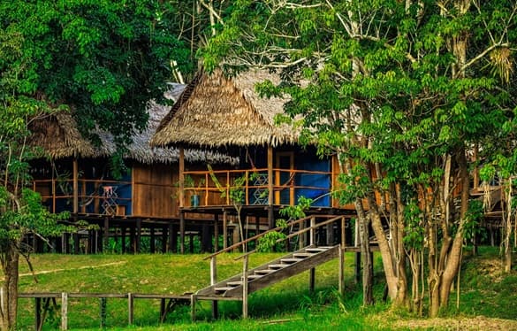 Welcome to the Jungle -  3-day excursion at Peruvian Amazon