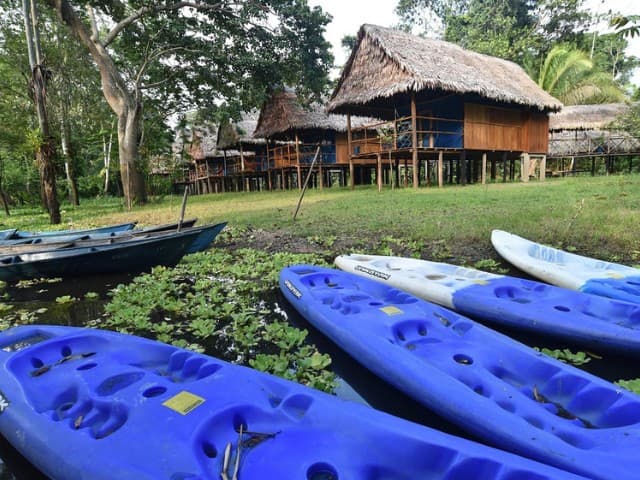 Welcome to the Jungle -  3-day excursion at Peruvian Amazon