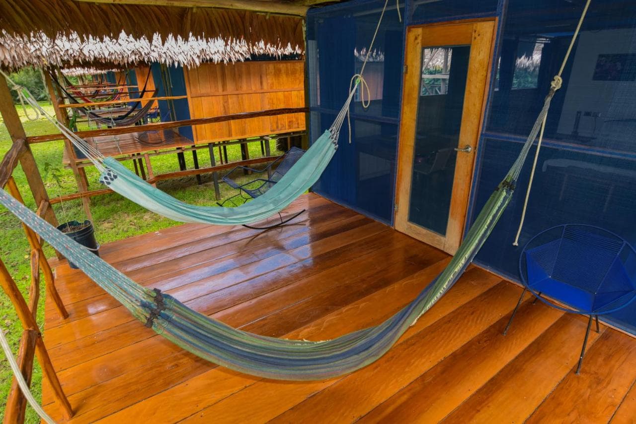 Welcome to the Jungle -  3-day excursion at Peruvian Amazon