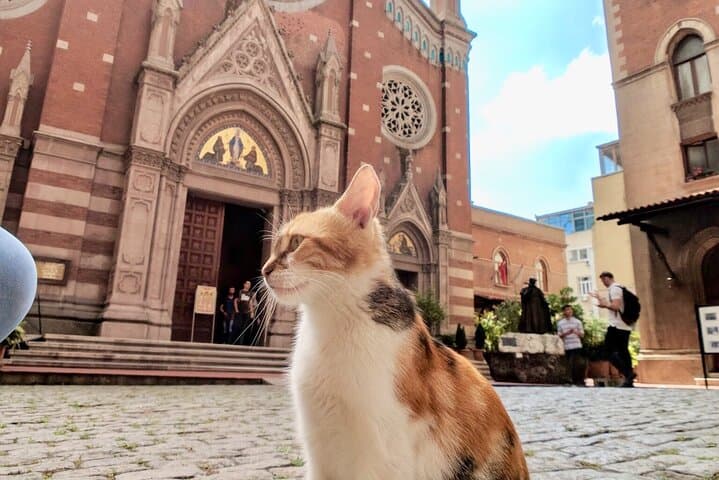 Istanbul City & Secrets Walking Tour